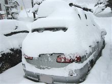 オー！マイガー！(リバティと大雪編）