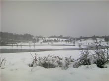 伊豆は雪