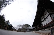 京都観光（高台寺）
