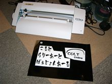 ステカがｷﾀ━━（ﾟ∀ﾟ）━━ﾖ