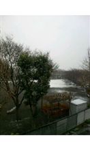 ( ･･)ﾉ 1/23ｵﾊｯｽ♪