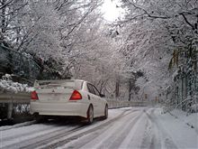 雪の多摩湖