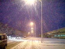 久々の大雪ですが(ノ_&lt;。)