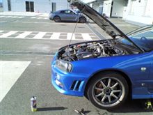 やっぱり居たね！