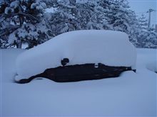 車名当てクイズ！？
