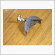 ヤフオク