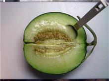 季節外れの