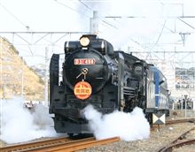 D-51 D-51