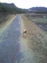 のほほ～んと・・