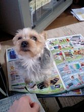 頭にきた。