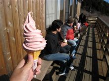 天狗様のソフクリプチオフ♪