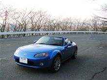 やはり1本ではなかったのか