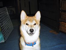もしかして貴方は・・・・・