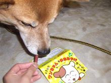 ワンコ用おみや