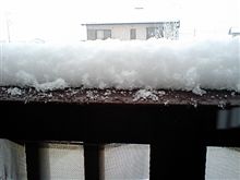 雪やこんこん