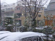行ってきます…