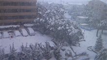 数年ぶりの大雪