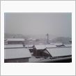 雪！！