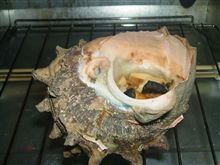 海からの贈り物♪その②