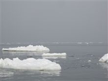 流氷.......沖へ
