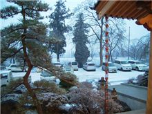 夕方より雪