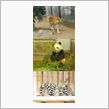 動物園にも行きました！
