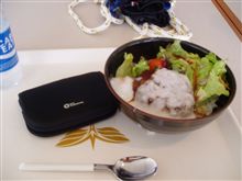 お昼食べた和風ロコモコ・・。（マルモ）