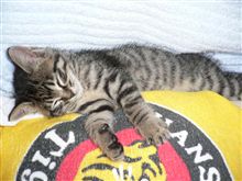 春になったらタイヤを新調か・・・？