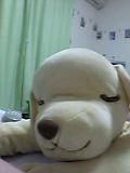 もう、あきまへんφ(.. ) もう、あきまへんφ(.. )