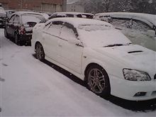 追いかけて…雪国(？！)
