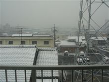名古屋初雪
