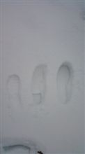 雪を求めて