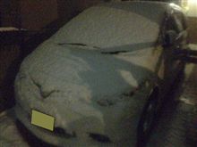 雪ですね～♪