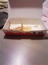 夜中に我慢できず 夜中に我慢できず