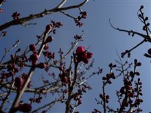 春は近い...のか？