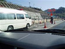 目が合った…。(^_^;)