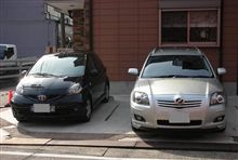 やってきました・・・