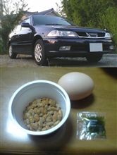 今日は・・・
