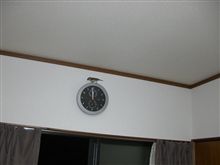 真夜中の珍事件？！ 