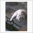 ぐっはー∑(￣口￣)
