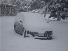 降りっぱなし(&gt;_&lt;)