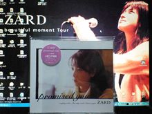 33rd SINGLE『promised you』･･･