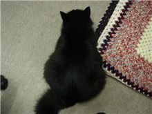 もうsleepするです・・・