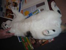 やはり物価は上がっている！ 