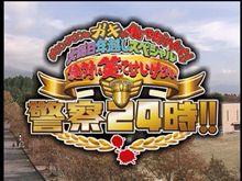 今日はこれ見てます