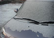 今年初の積雪？