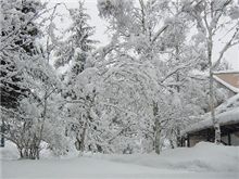 また雪・・・・