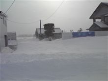 大空で81cm！！