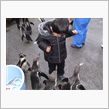 長崎ペンギン水族館へ