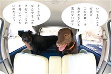 スタビ付けて～